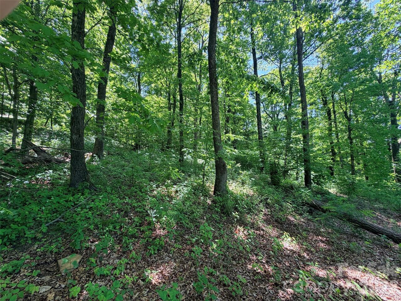 Listing Photo 8