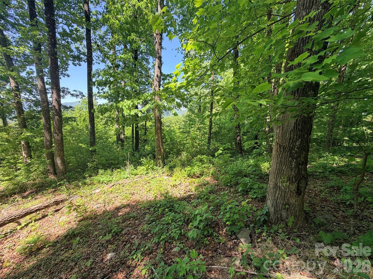 Listing Photo 9