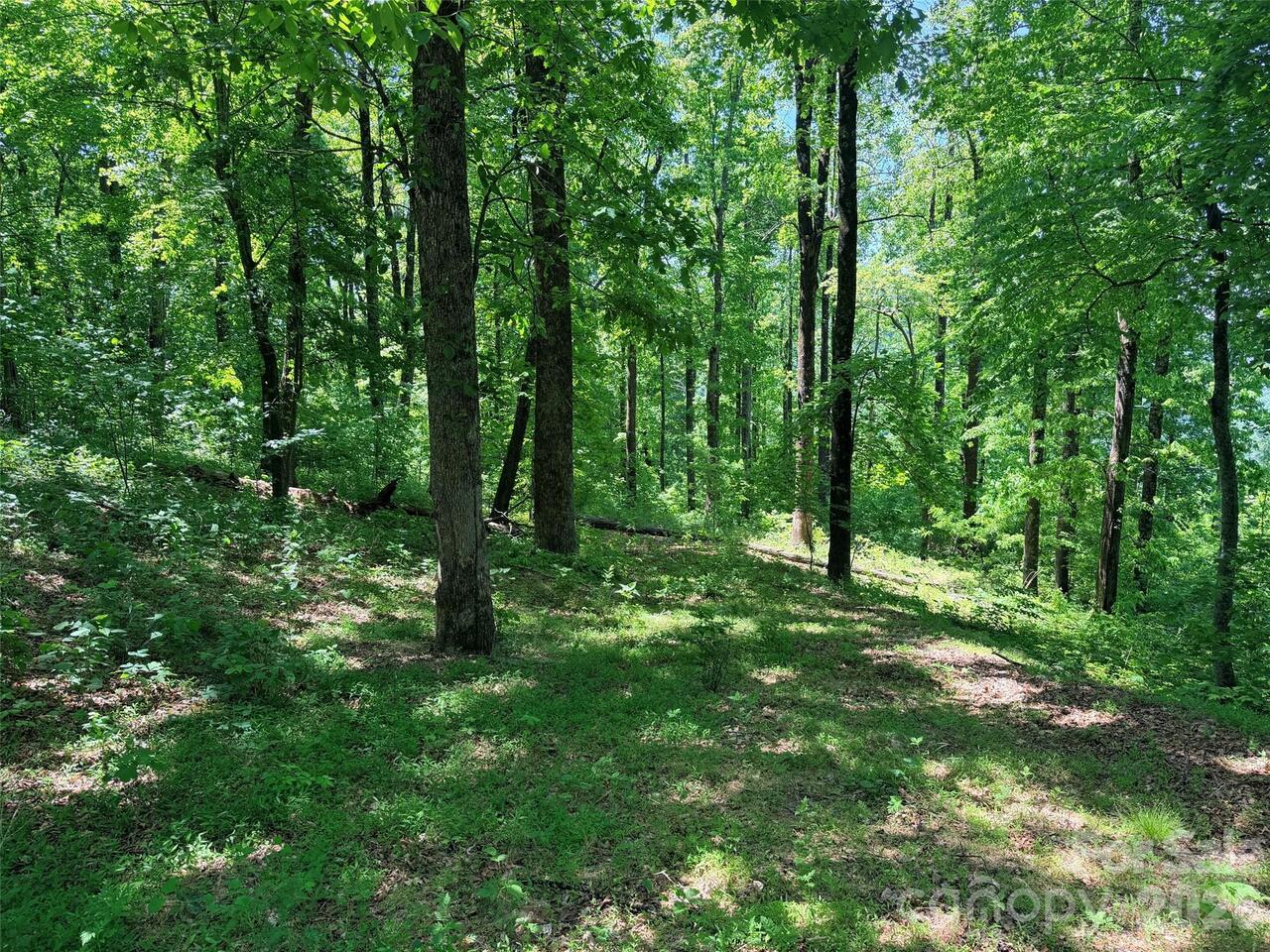 Listing Photo 11