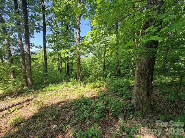 Listing Photo 9