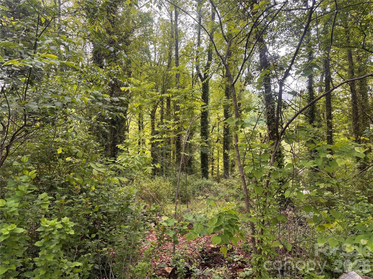 Listing Photo 13