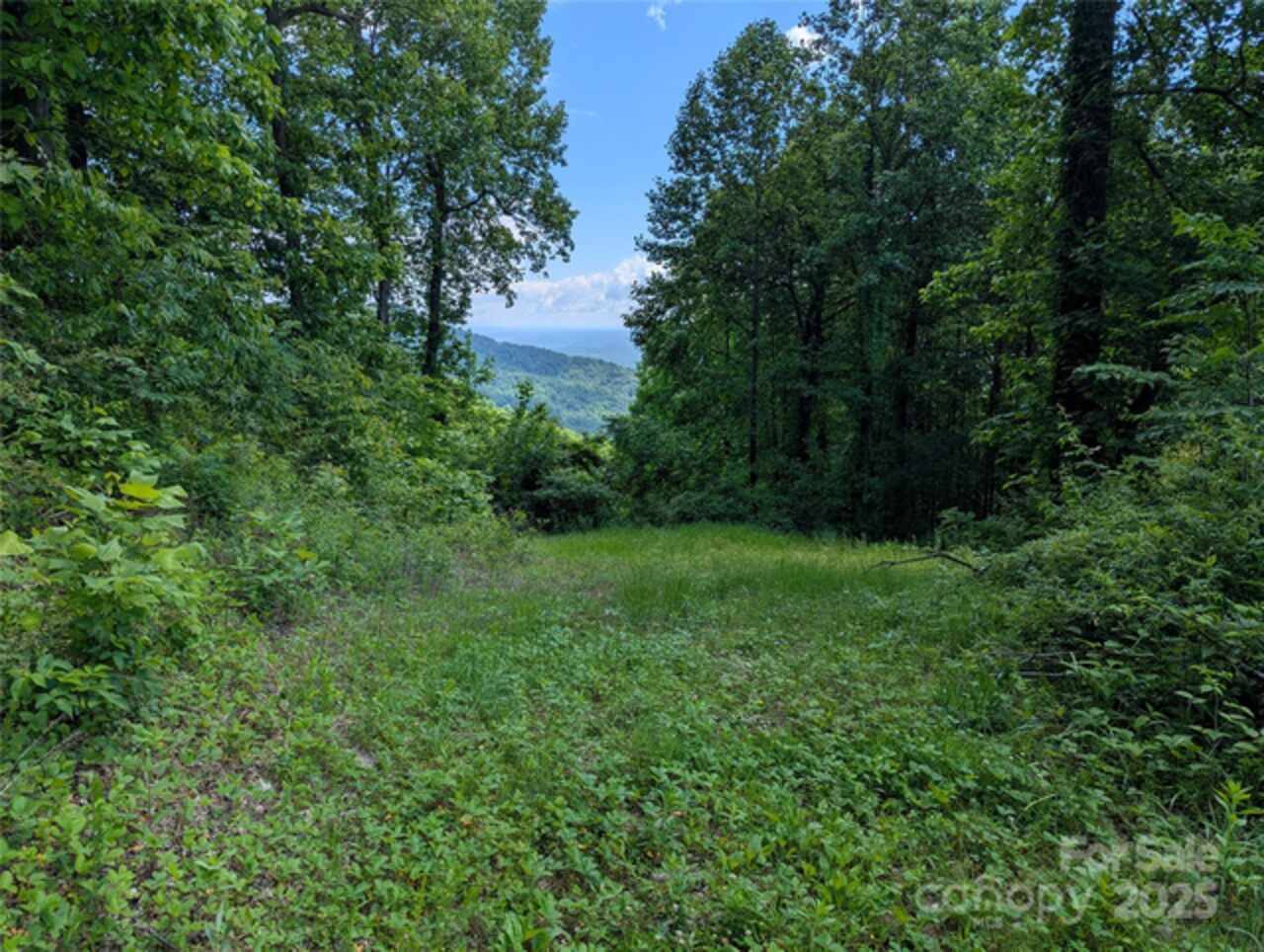 Listing Photo 6
