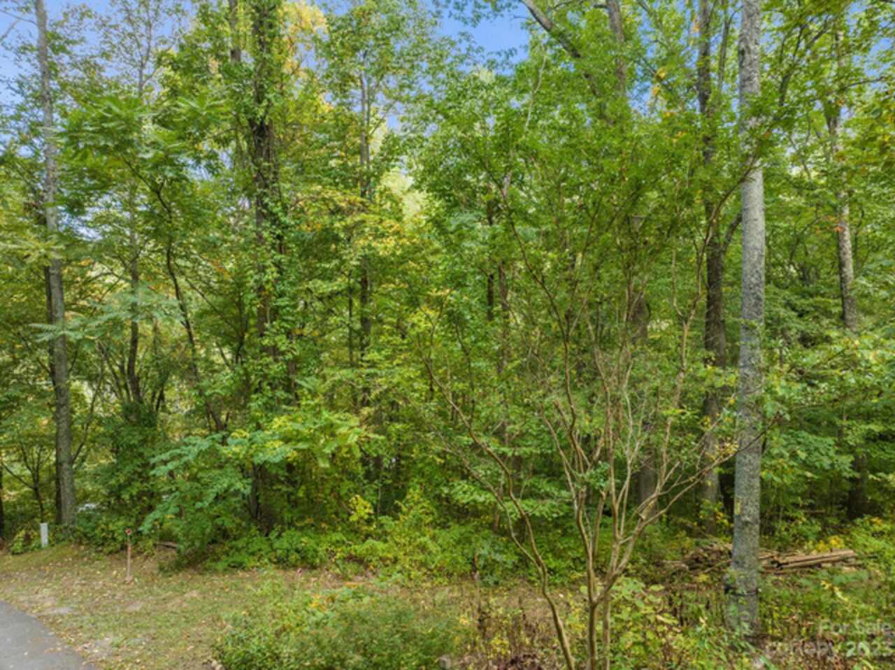 Listing Photo 8
