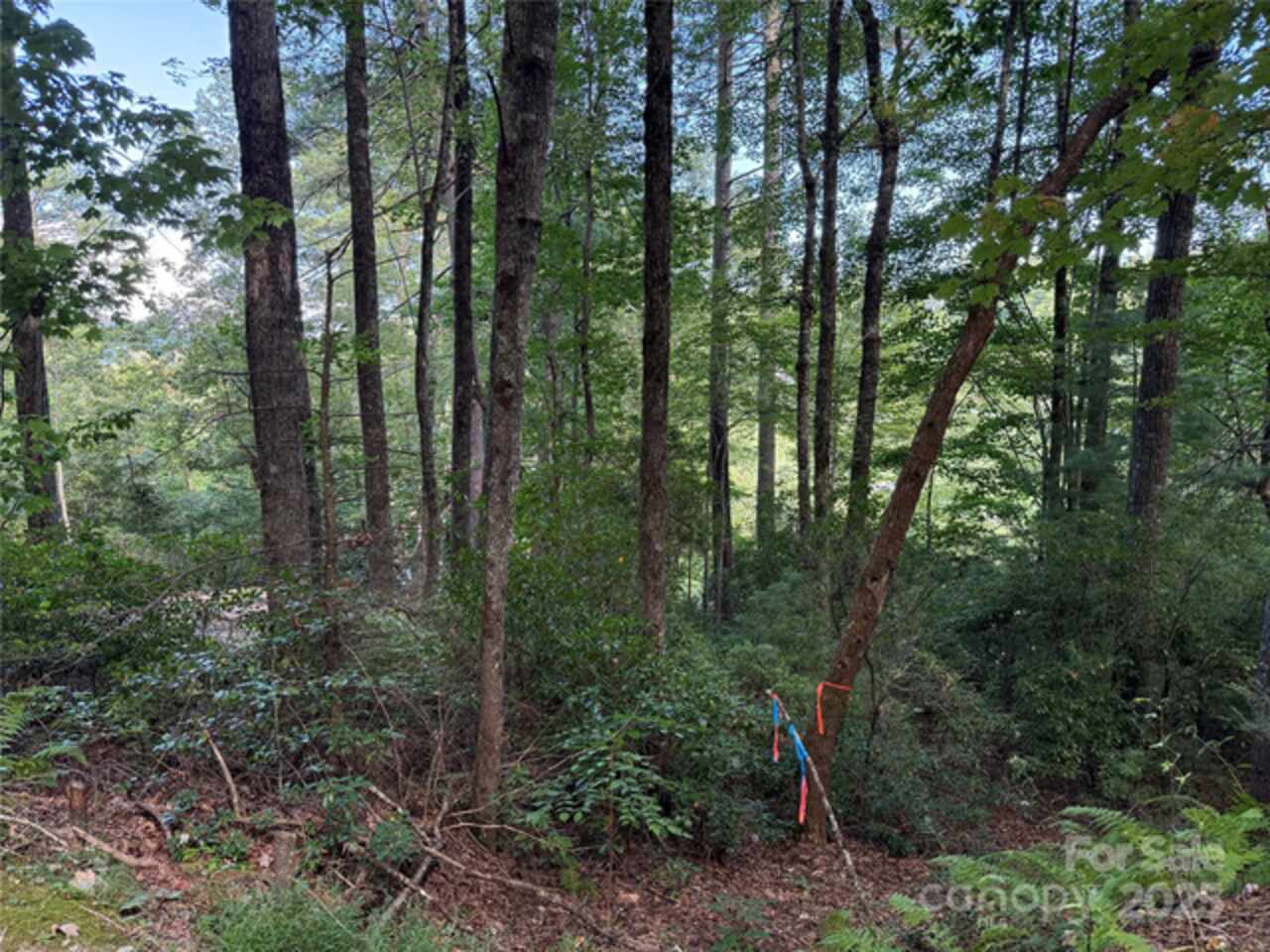 Listing Photo 6