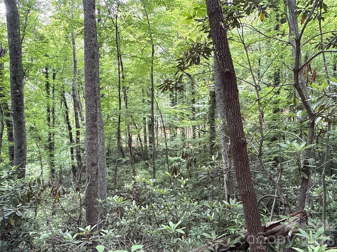 Listing Photo 6