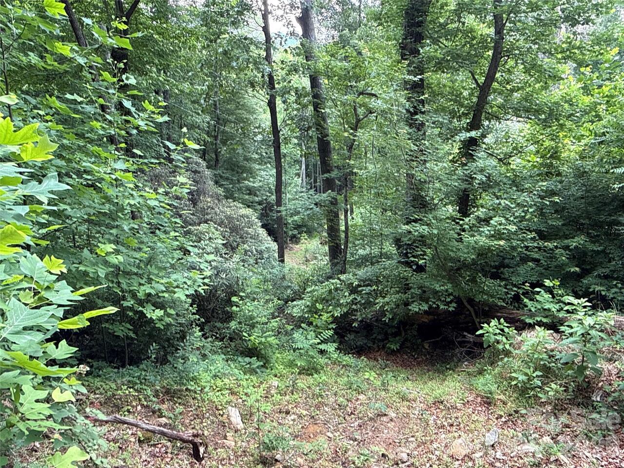 Listing Photo 8