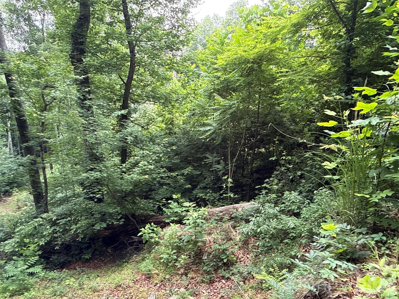 Listing Photo 9