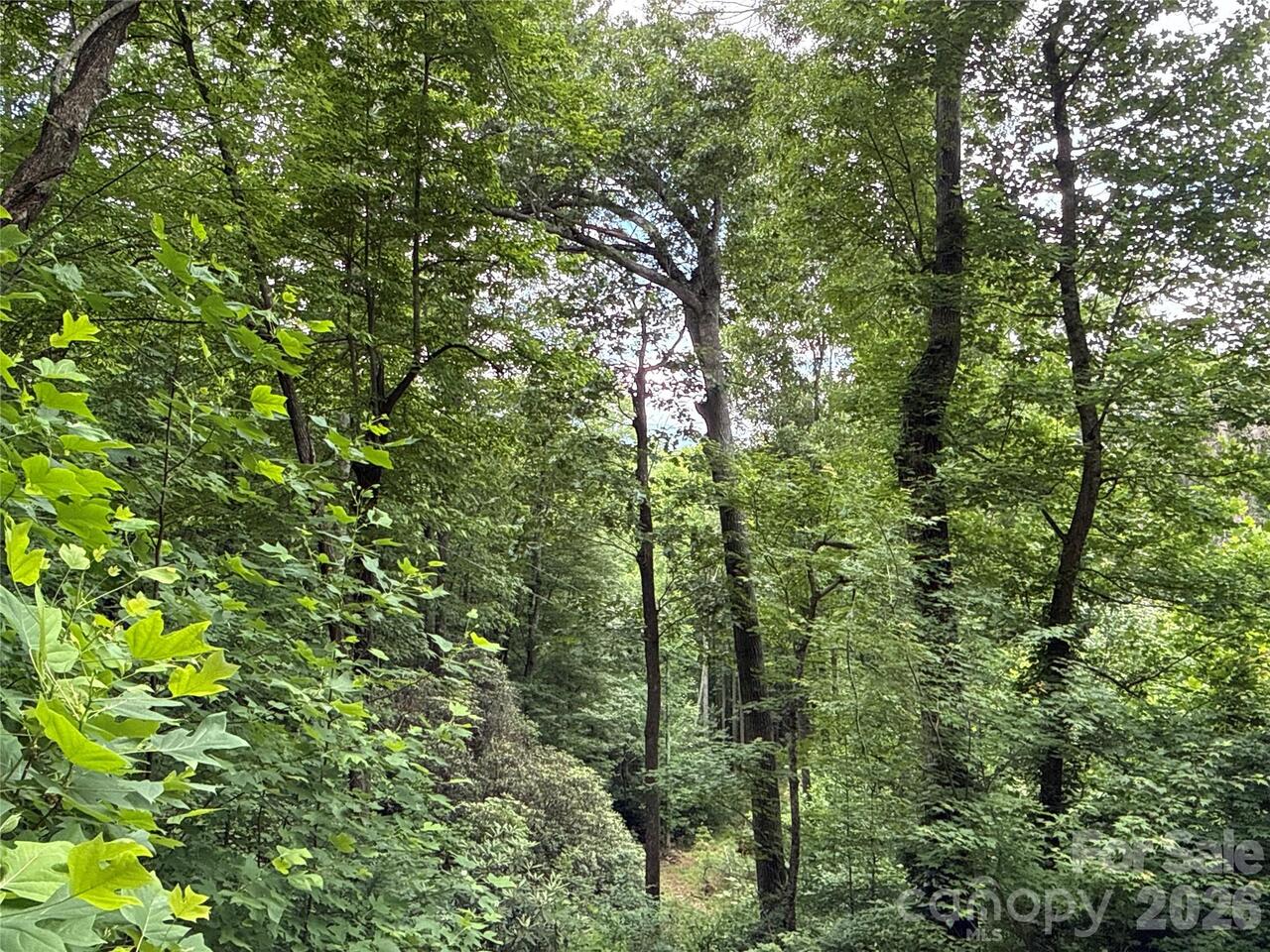 Listing Photo 11
