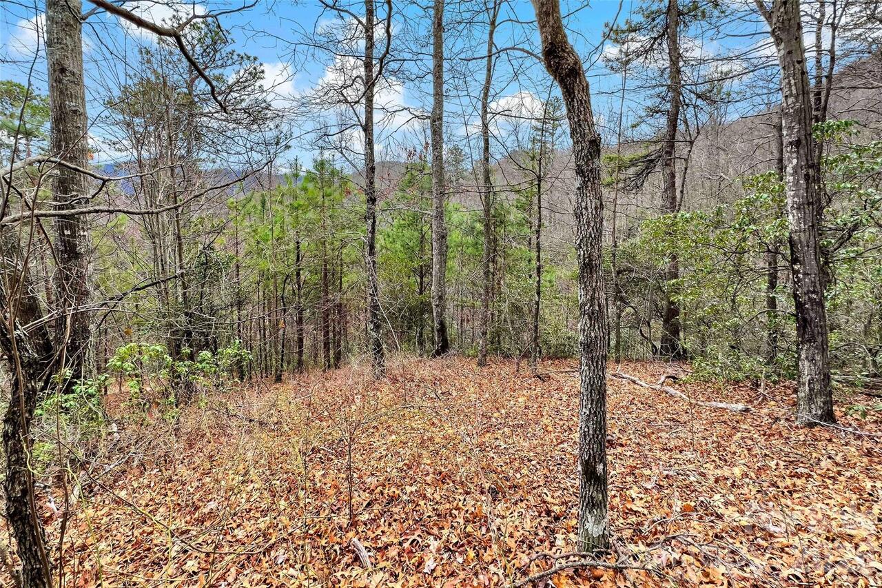 Listing Photo 12