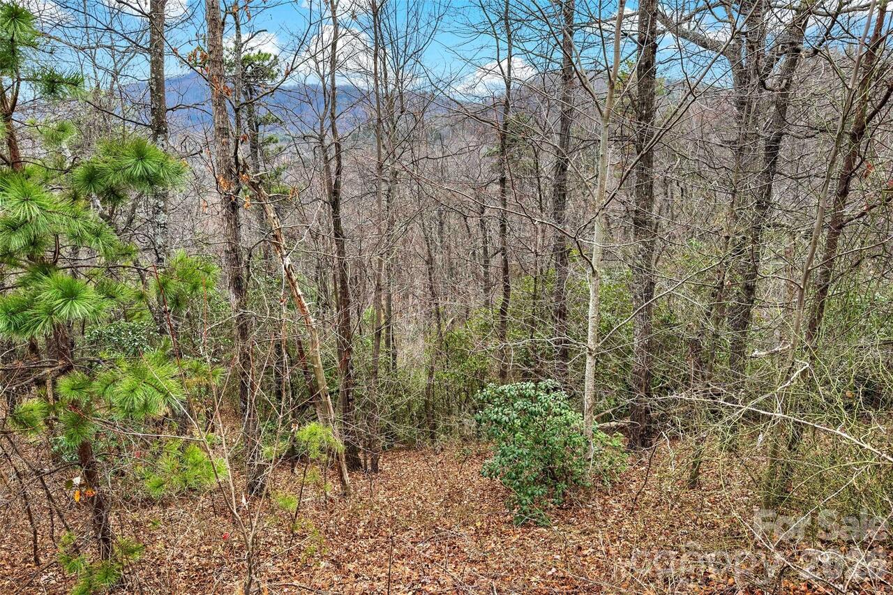 Listing Photo 13