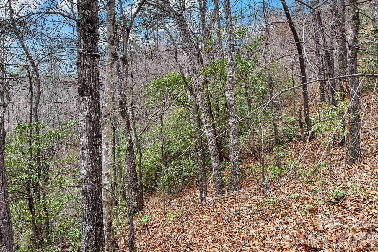 Listing Photo 19