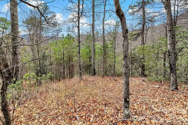 Listing Photo 12
