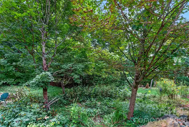 Listing Photo 42