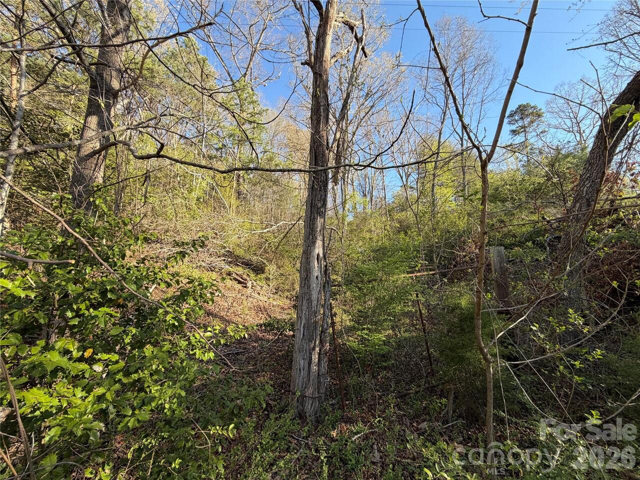 Listing Photo 7