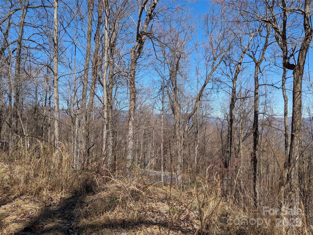 Listing Photo 24