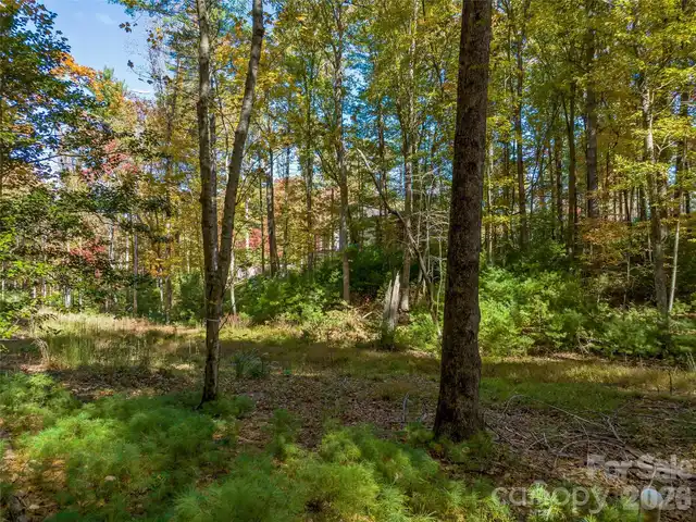 Listing Photo 9