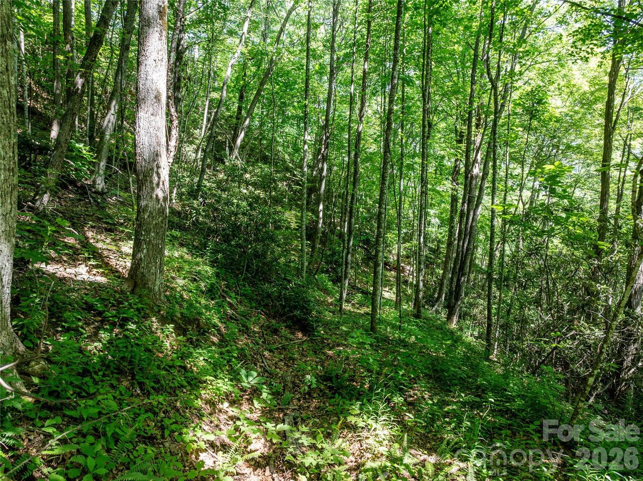 Listing Photo 11