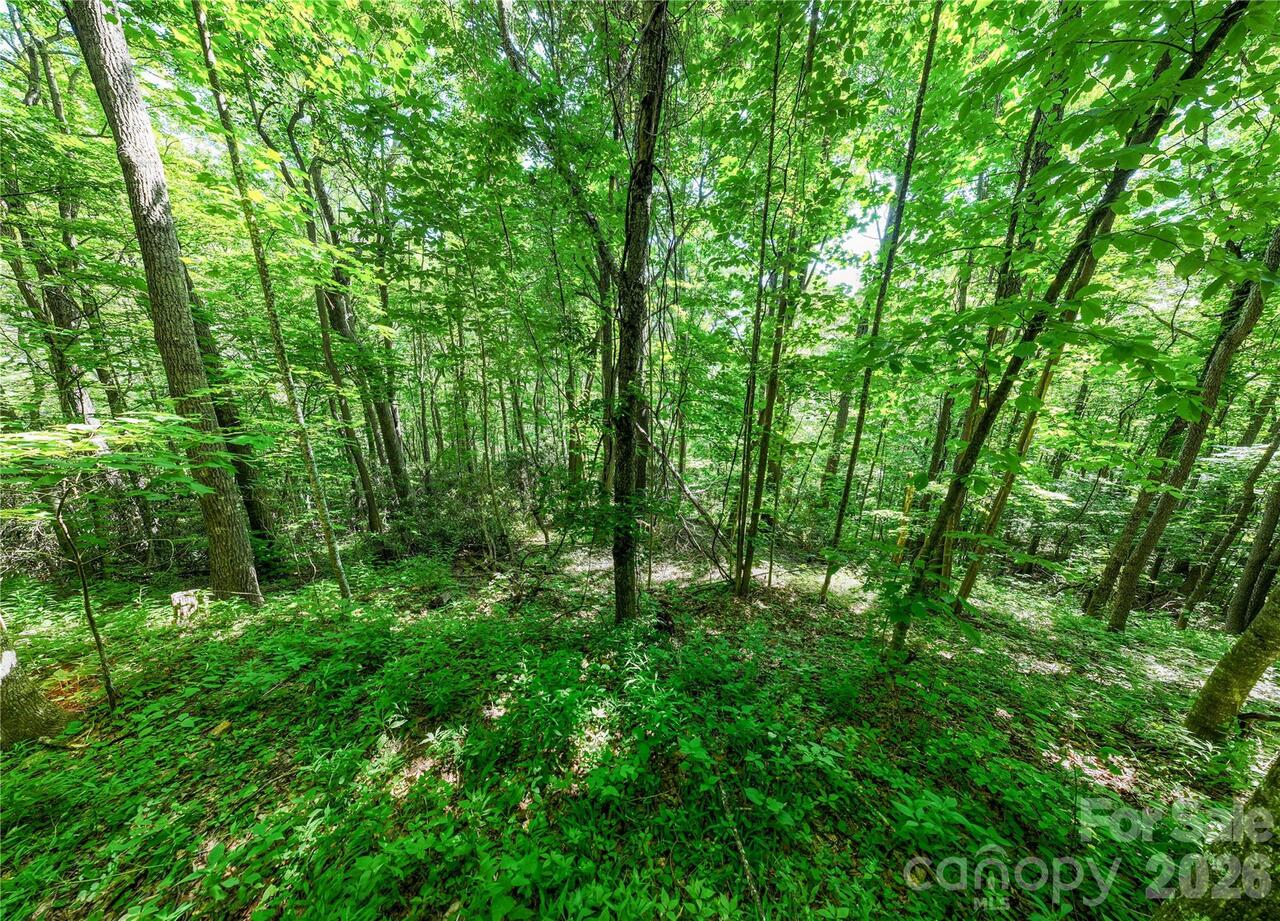 Listing Photo 13