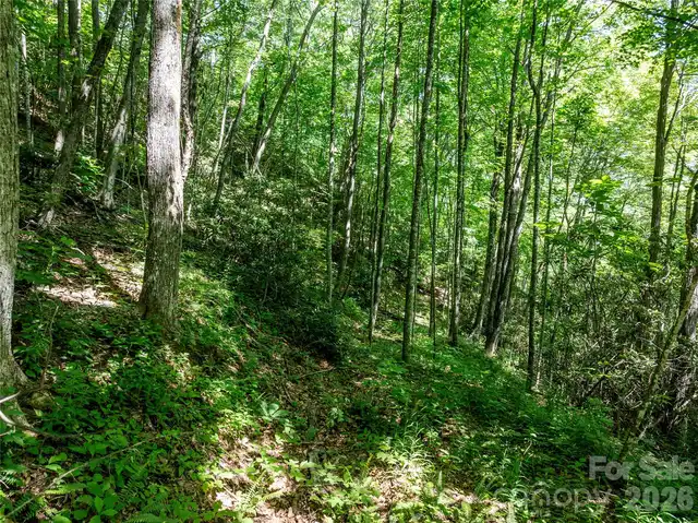 Listing Photo 11