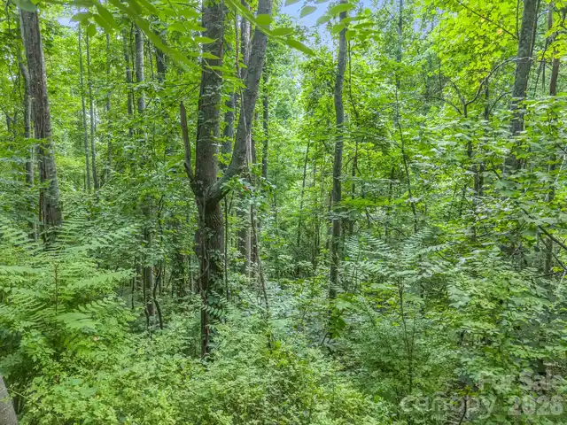 Listing Photo 11