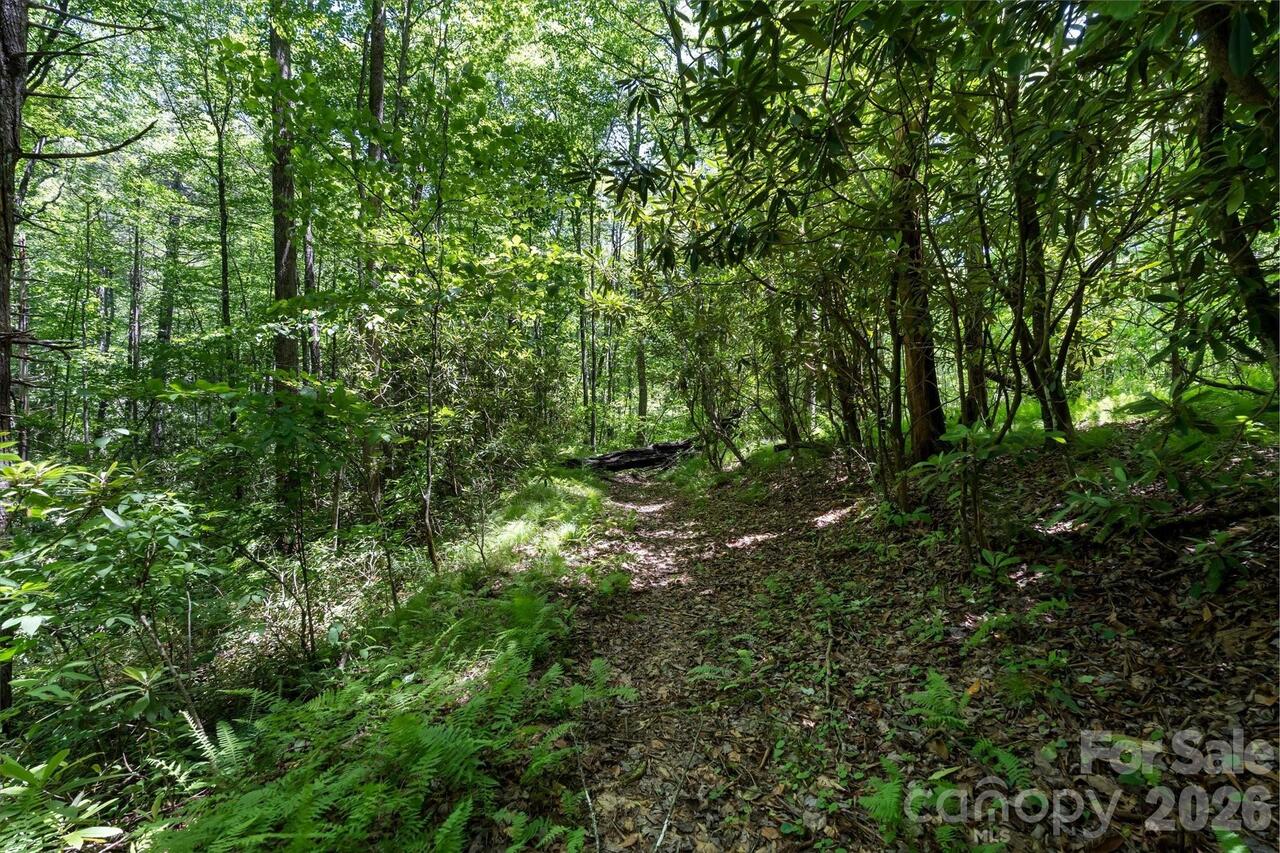 Listing Photo 14