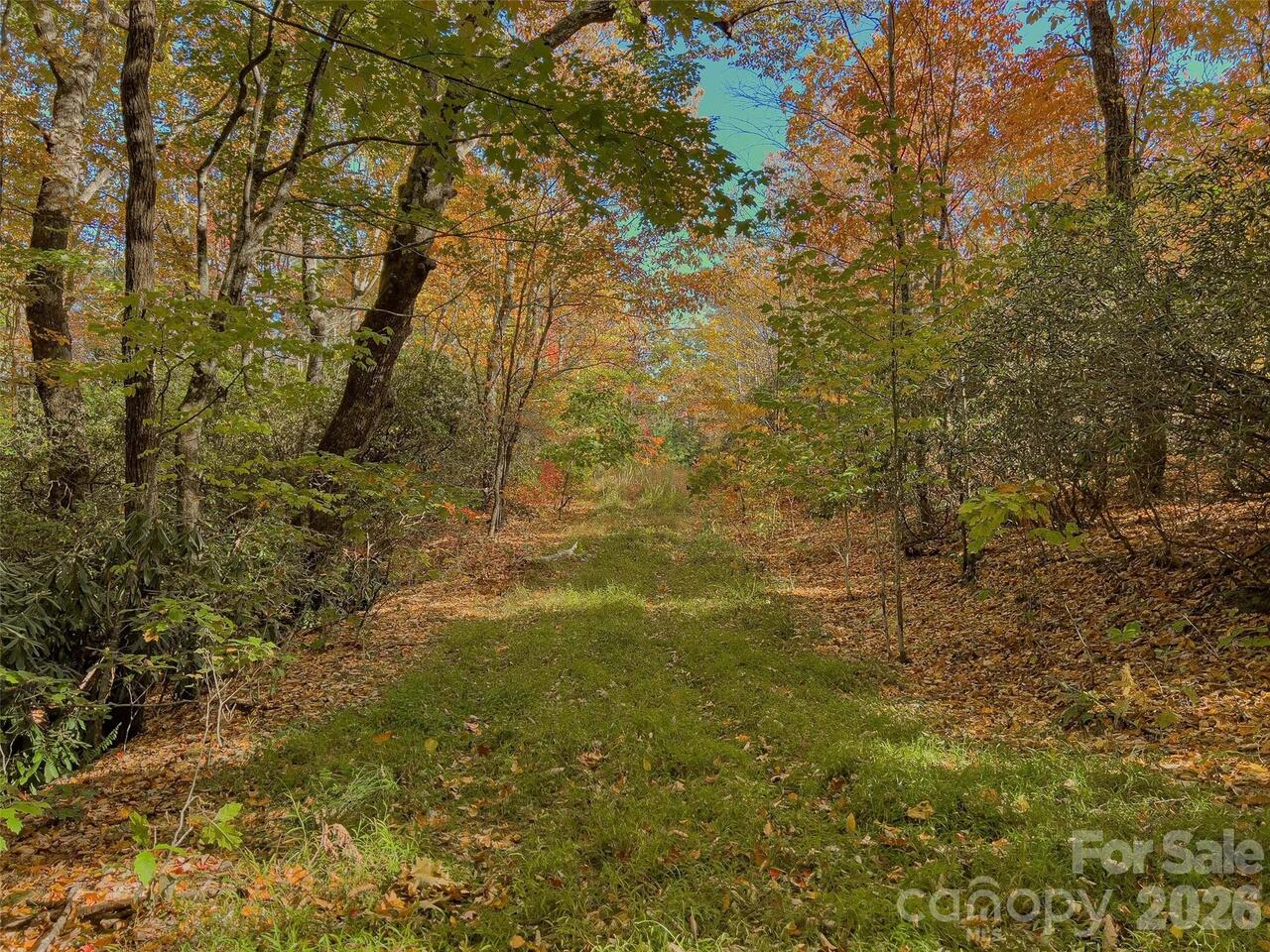 Listing Photo 23