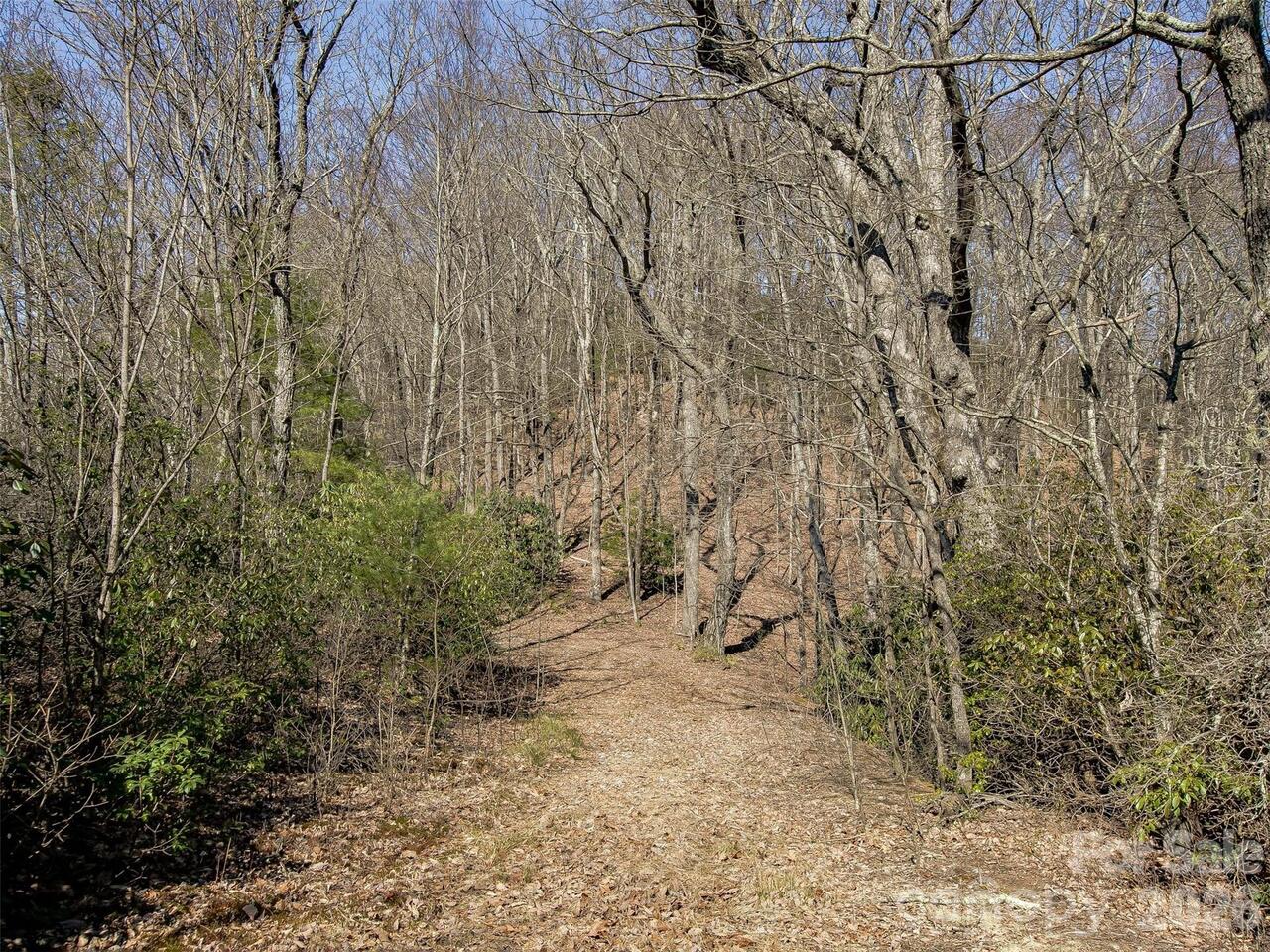 Listing Photo 25