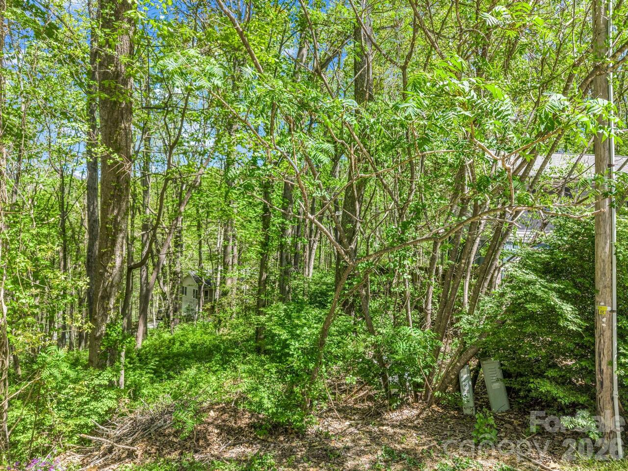 Listing Photo 8