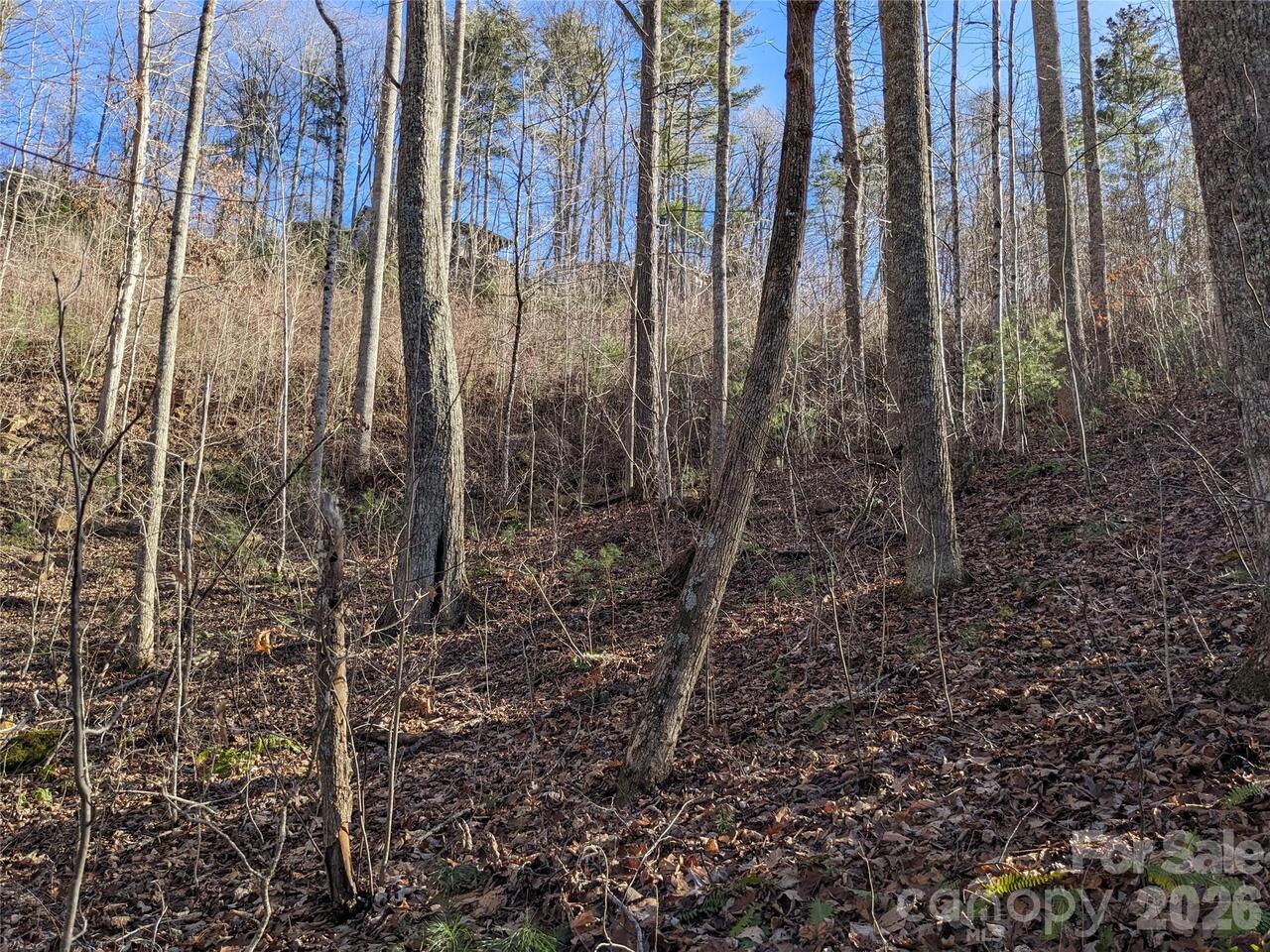 Listing Photo 14