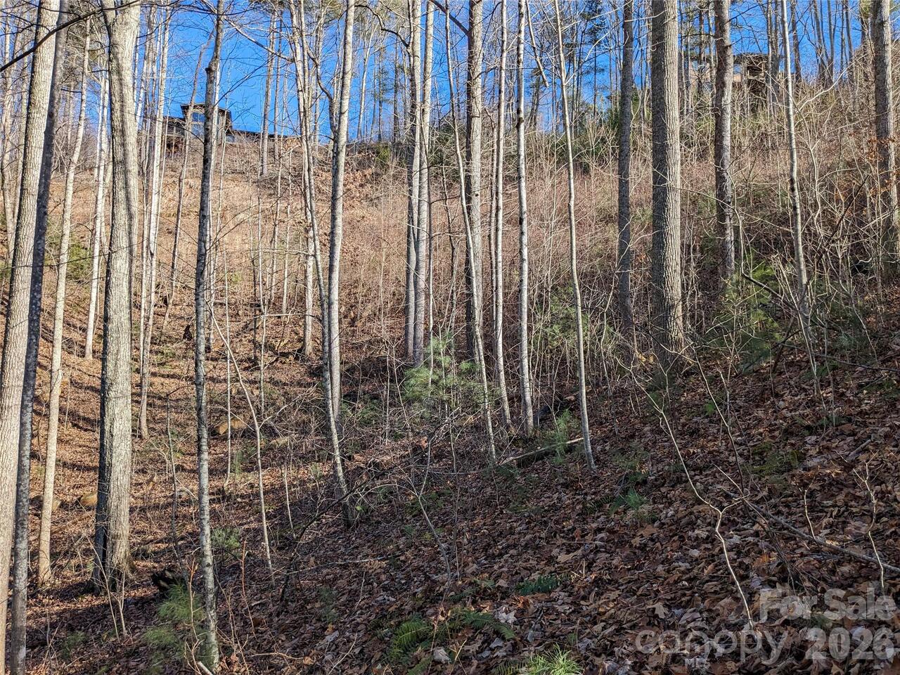 Listing Photo 15