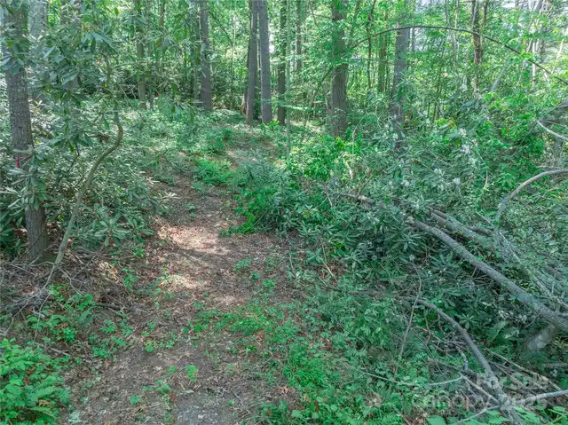 Listing Photo 11