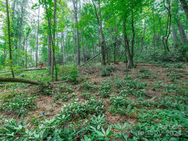 Listing Photo 12