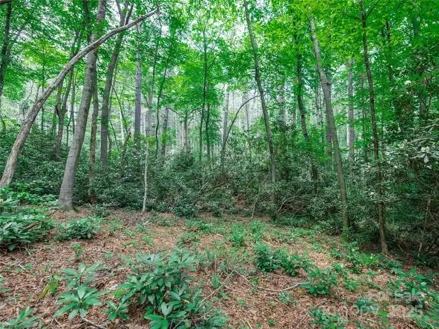Listing Photo 14