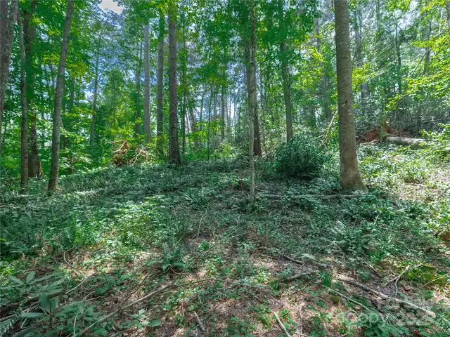 Listing Photo 23