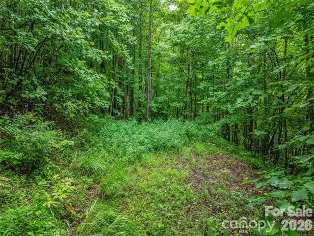 Listing Photo 11