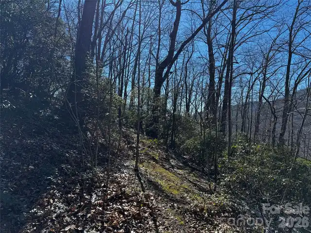 Listing Photo 18