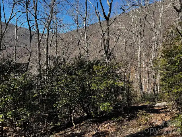 Listing Photo 19