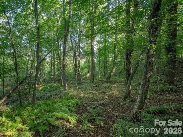Listing Photo 12