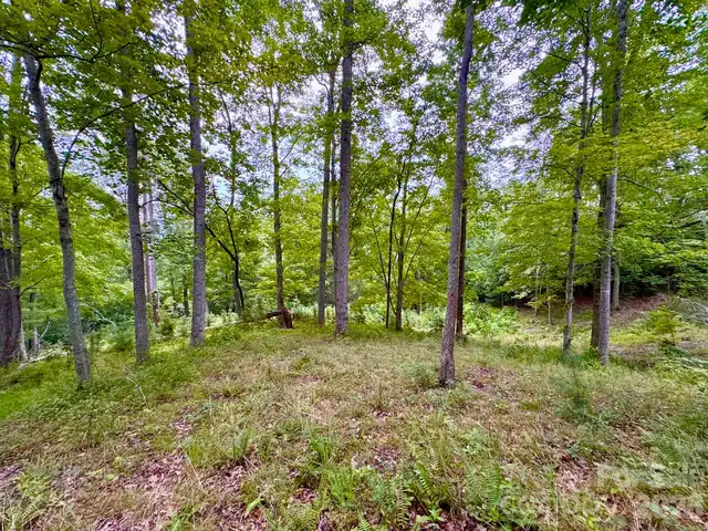 Listing Photo 8