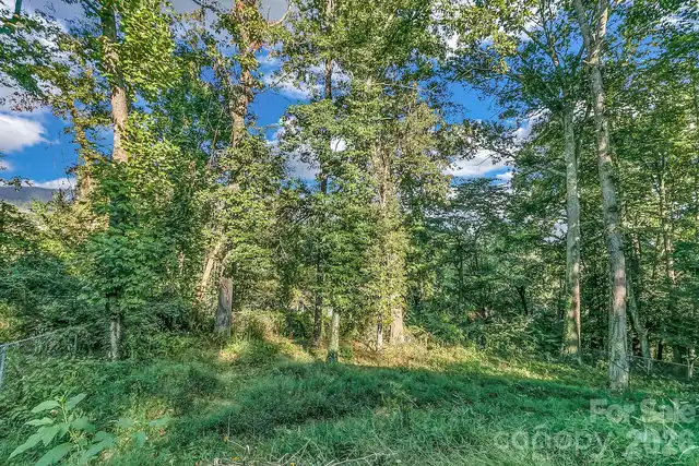 Listing Photo 35