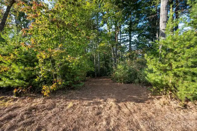 Listing Photo 7