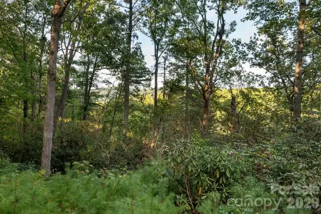 Listing Photo 11