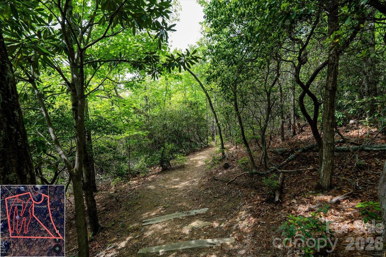 Listing Photo 22