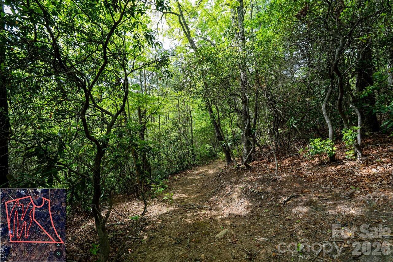 Listing Photo 28