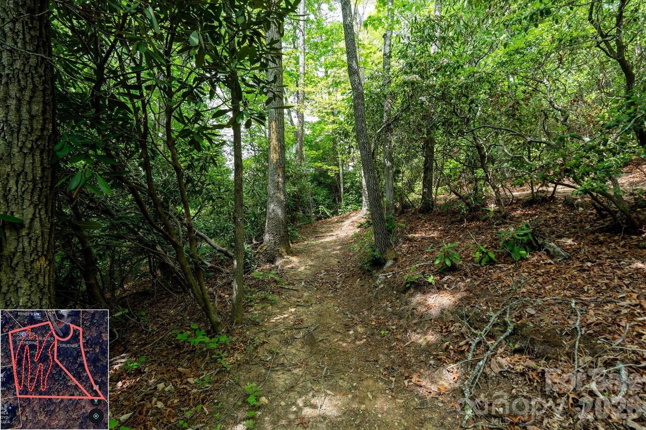 Listing Photo 31