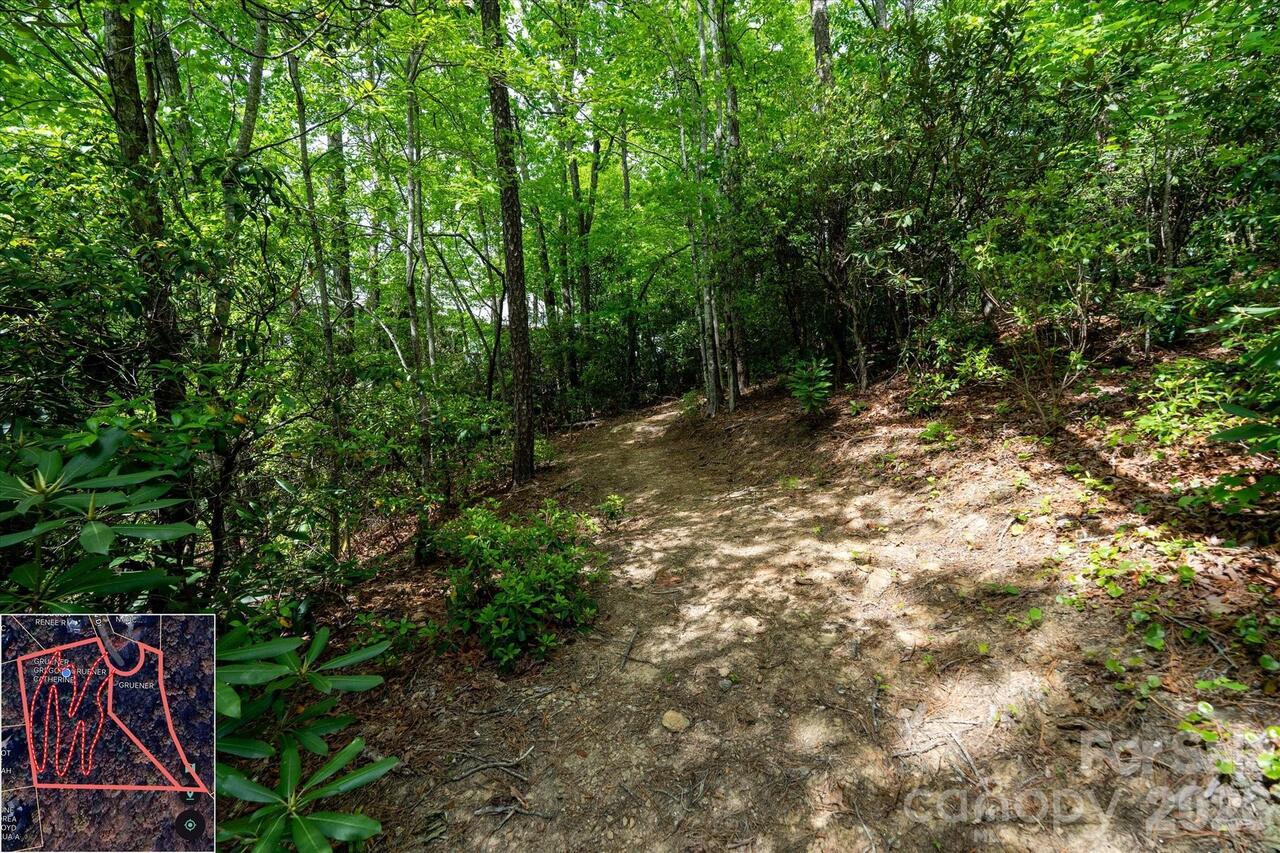Listing Photo 34