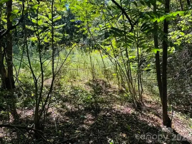Listing Photo 25
