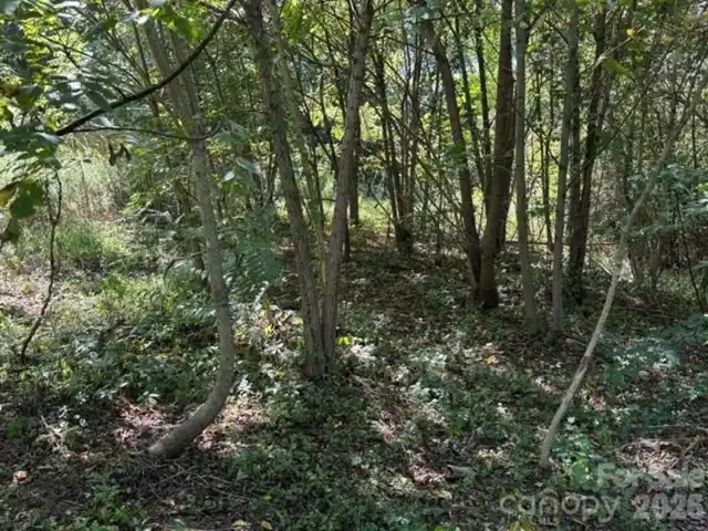 Listing Photo 29