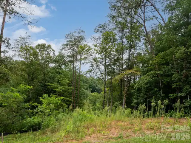 Listing Photo 11