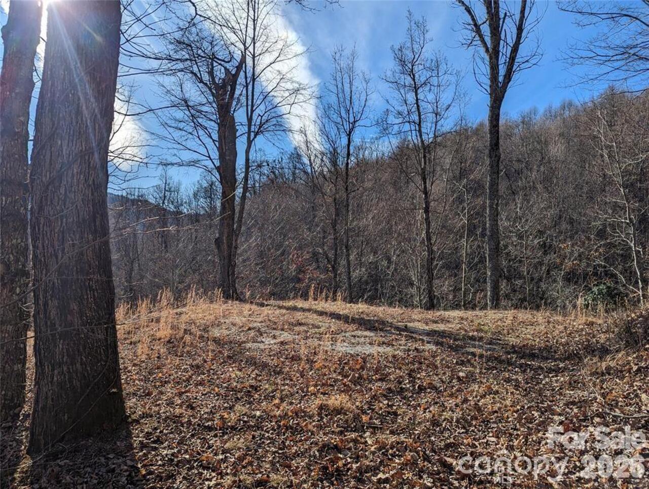 Listing Photo 13